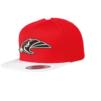 1CLASSIC SNAPBACK 2-TONE 6089MT LOGO
