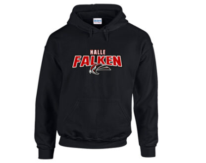 HOODIE „STAHLS“ – Bild 4