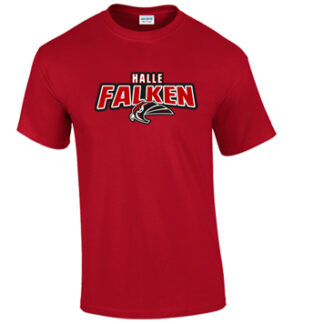 KINDER T-SHIRT „STAHLS“