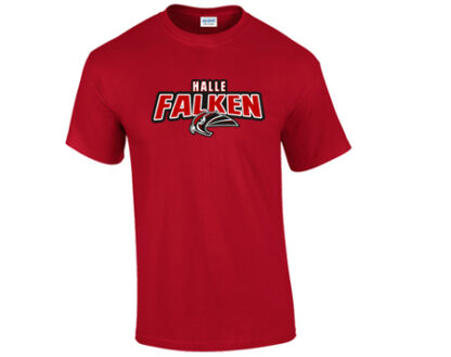 HERREN T-SHIRT „STAHLS“ – Bild 2