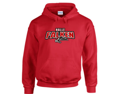 HOODIE „STAHLS“ – Bild 2