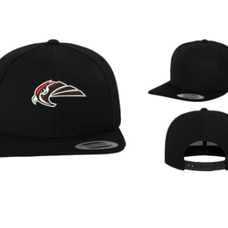 1CLASSIC SNAPBACK 6089M LOGO