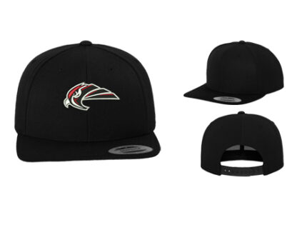 1CLASSIC SNAPBACK 6089M LOGO
