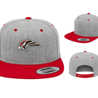 1CLASSIC SNAPBACK 2-TONE  6089MT LOGO