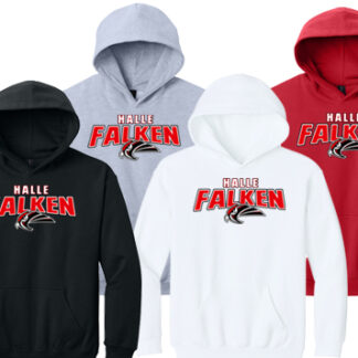 Softstyle®Youth Hoodie SF500B STAHLS